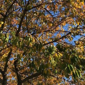 Meet your Posher, Teagan